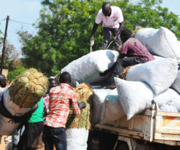West Nile dealers hurt after charcoal ban, prices rise