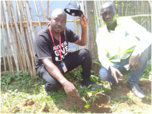 Figure 5: Plant more trees Campaign. The Yumbe District Environment Officer with one of the Volunteers near a tree which has been planted.